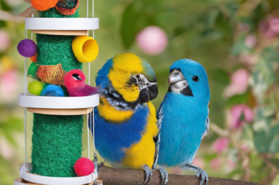 DIY Toys and Enrichment Activities for Bird Wellness