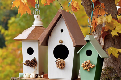 DIY Fall Birdhouses: Crafting Cozy Homes for Feathered Friends